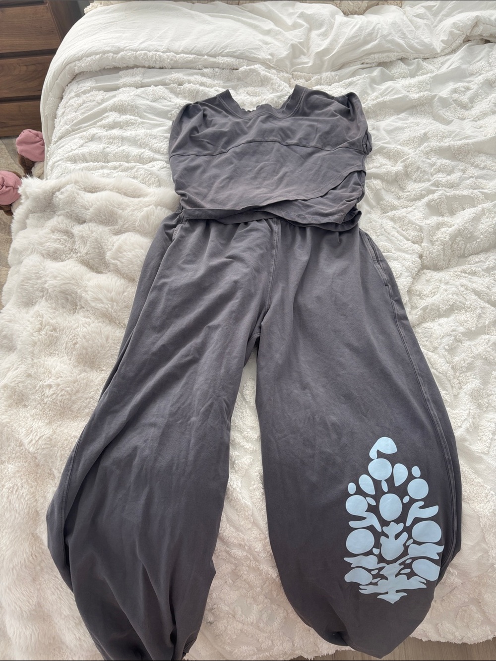 Free People Charcoal Wide-Leg Jumpsuit with Light Blue Graphic